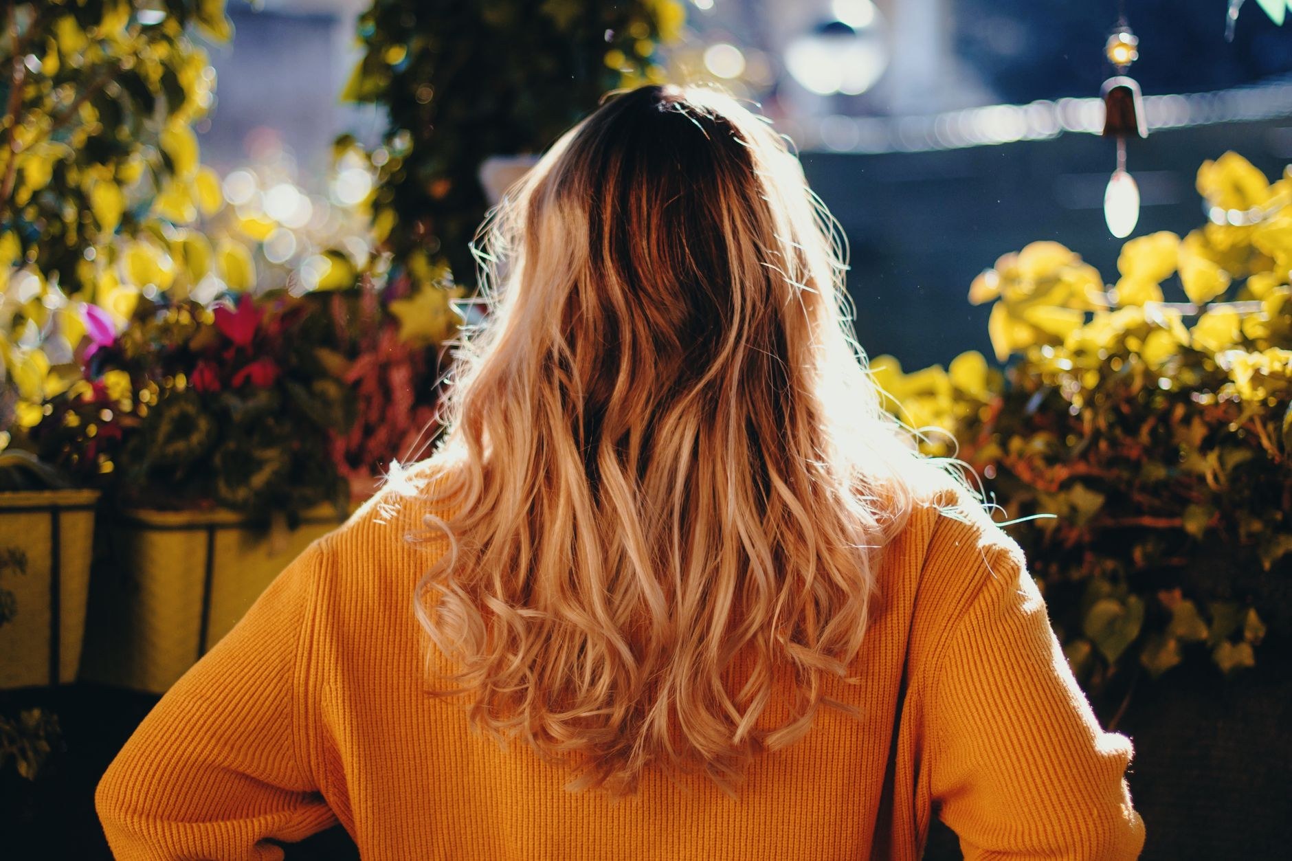 Sun-lit ombre waves from behind